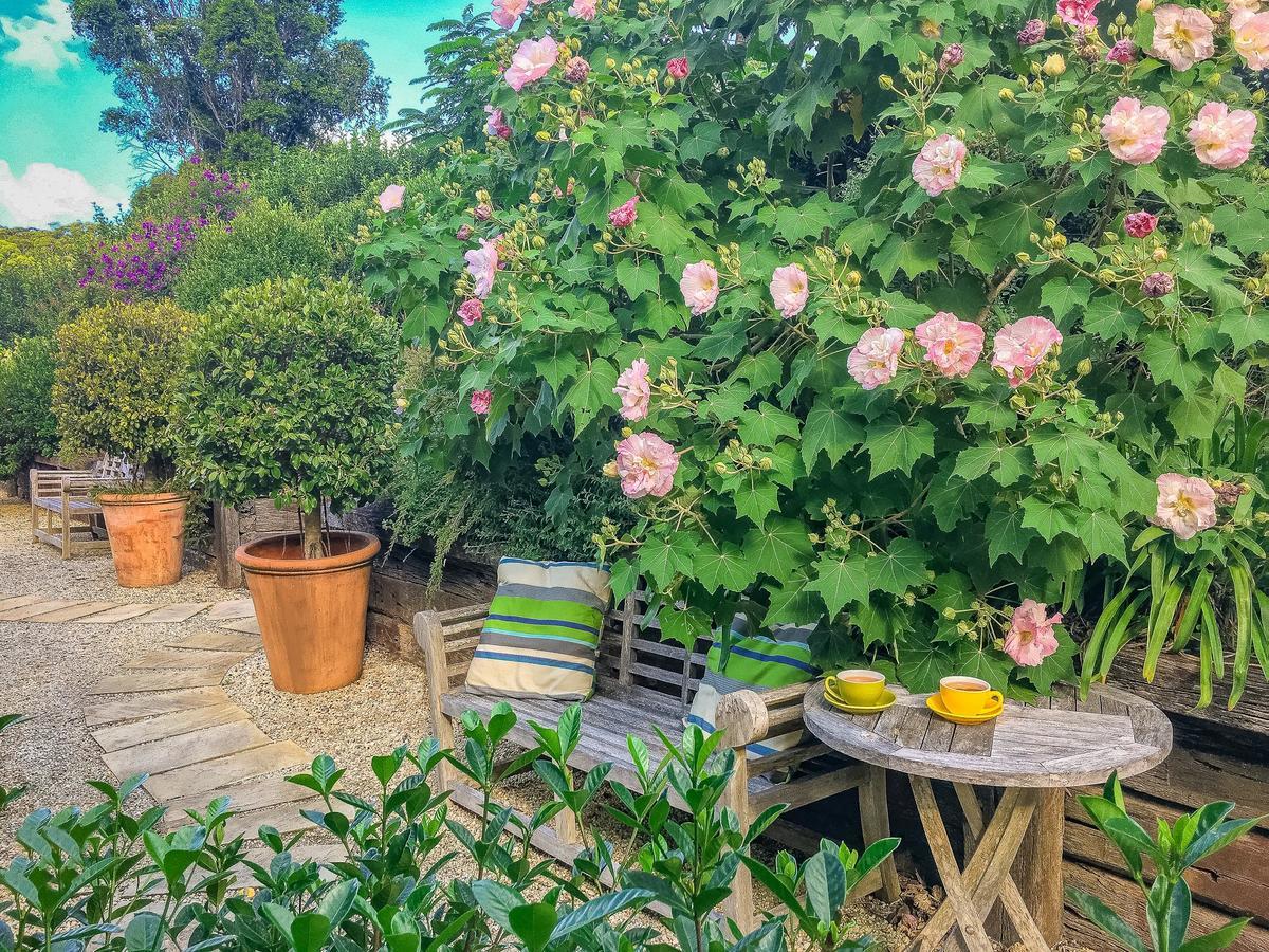 Bed and Breakfast Abelia House à Byron Bay Extérieur photo