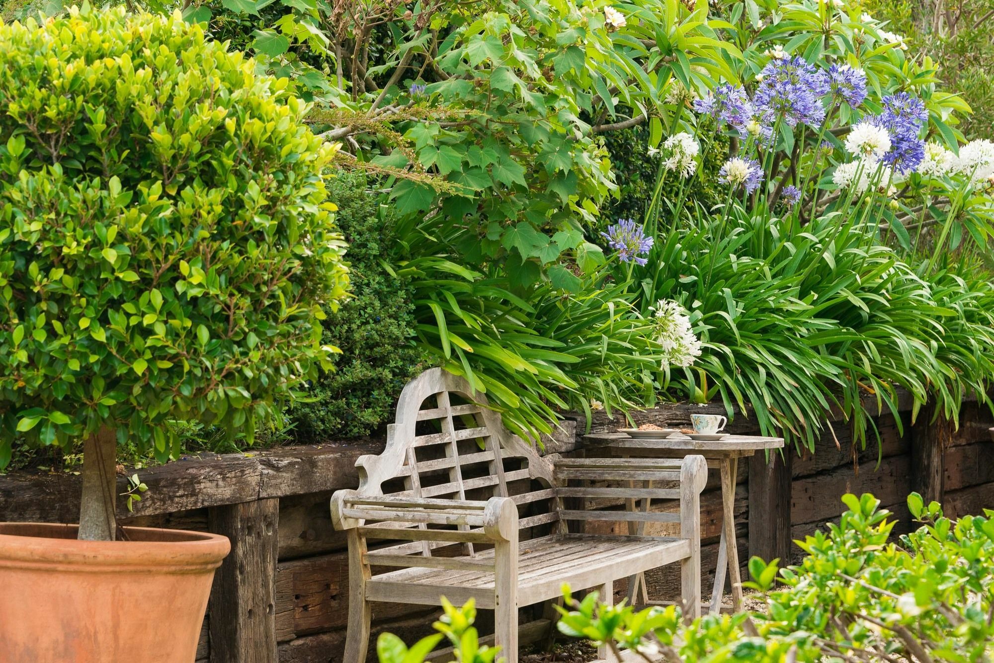 Bed and Breakfast Abelia House à Byron Bay Extérieur photo